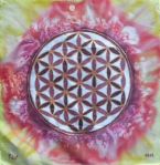 Energiebild Blume des Lebens