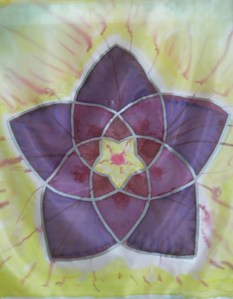 Venusblume gelb-violett